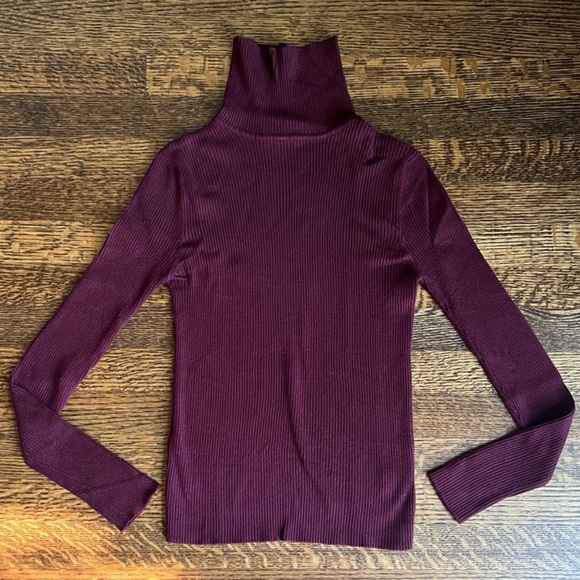 Final Price! Zara Ribbed Knit Turtleneck, Dark Burgundy Maroon Fitted Longlseeve - Picture 2 of 3